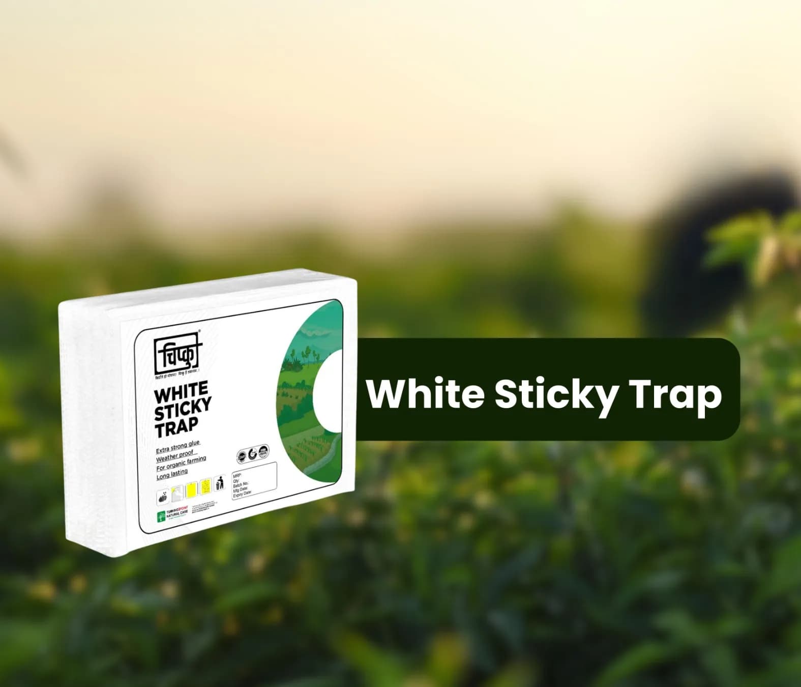 Chipku A5 White Sticky Trap For Insects, Useful for Farming Outdoor and Gardening (Size 150 MM x 200 MM) - Image 2