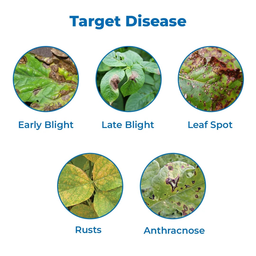 EBS Susafe Fungicide - Image 3