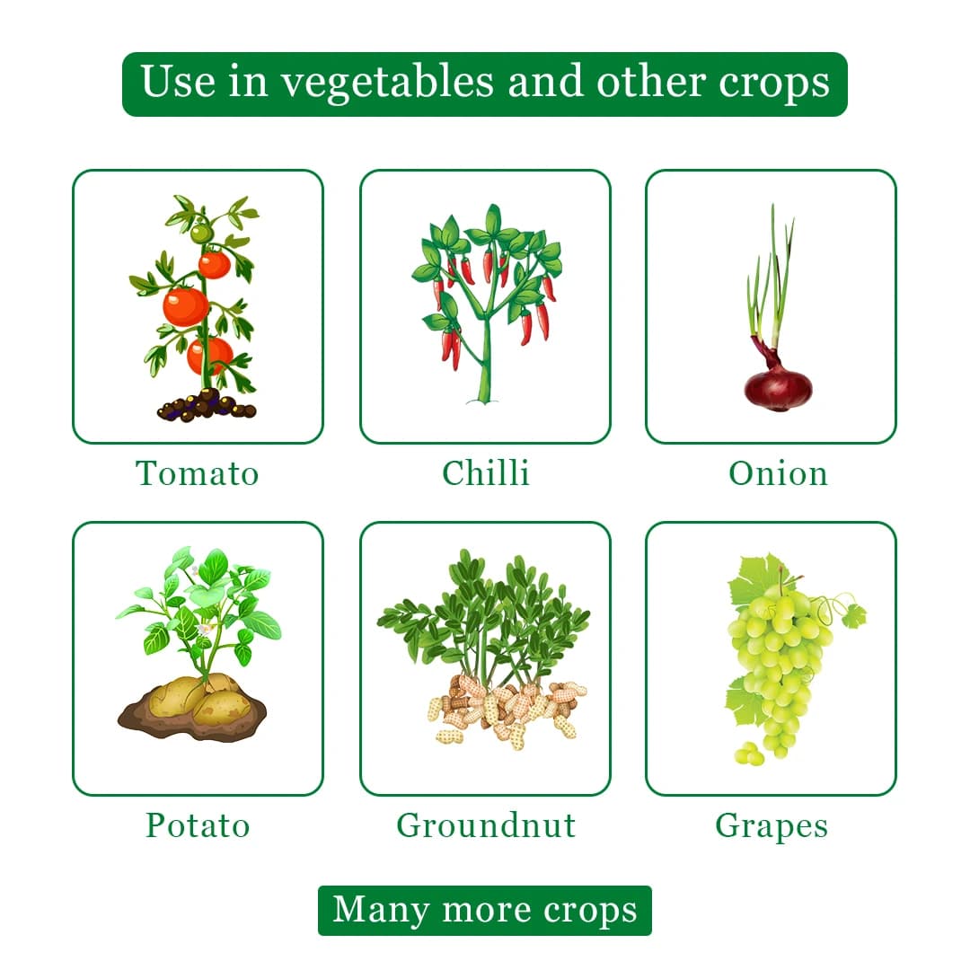 Rainzeb M-45 Fungicide - Mancozeb 75% WP - Image 4