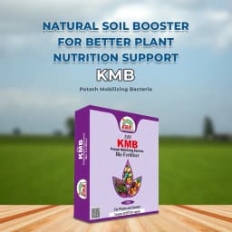 EBS KMB Potash Mobilizing Bacteria 5x10^8 CFU Bio Fertilizer, Use for Plants, Crops And Home Garden 2