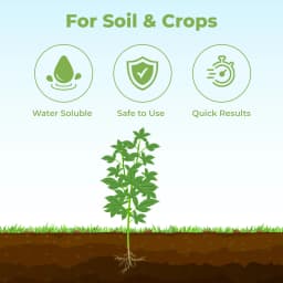 Farmtone NPK 19:19:19 Fertilizer 3