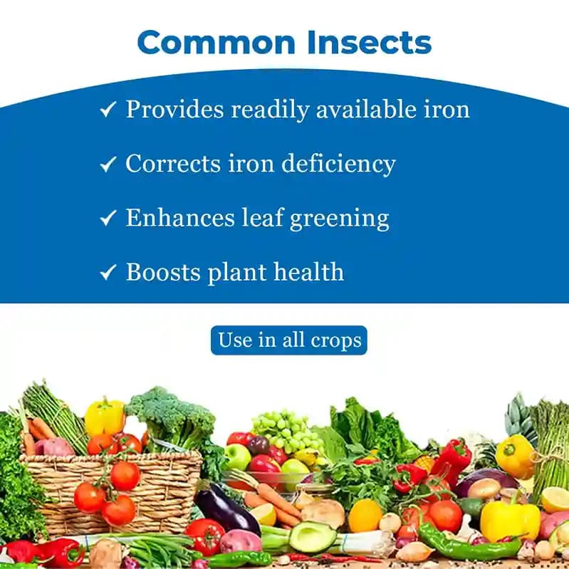 Katyayani Micronutrient Iron EDTA Fe 12% EDTA Fertilizer For Plant And Overall Development. - Image 4