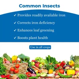 Katyayani Micronutrient Iron EDTA Fe 12% EDTA Fertilizer For Plant And Overall Development. 4