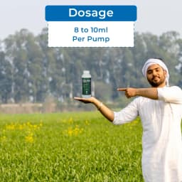 Rain Mida Extra - Imidacloprid 30.5% SC Insecticide, Best Use Against Aphids, Whiteflies, Jassids, Thrips, Brown Plant Hopper, Green Leaf, Psylla 5