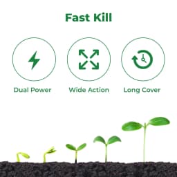 Dhanuka Super D Chlorpyriphos 50% + Cypermethrin 5% EC Insecticide, Systemic And Contact, Effective For Sucking And Chewing Pests In Cotton 3