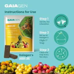 Gaiagen Bador Lure, Pheromone Lure For Fruit Fly (Bactrocera Dorsalis) And Insect Fly Trap, IMO Certified 6