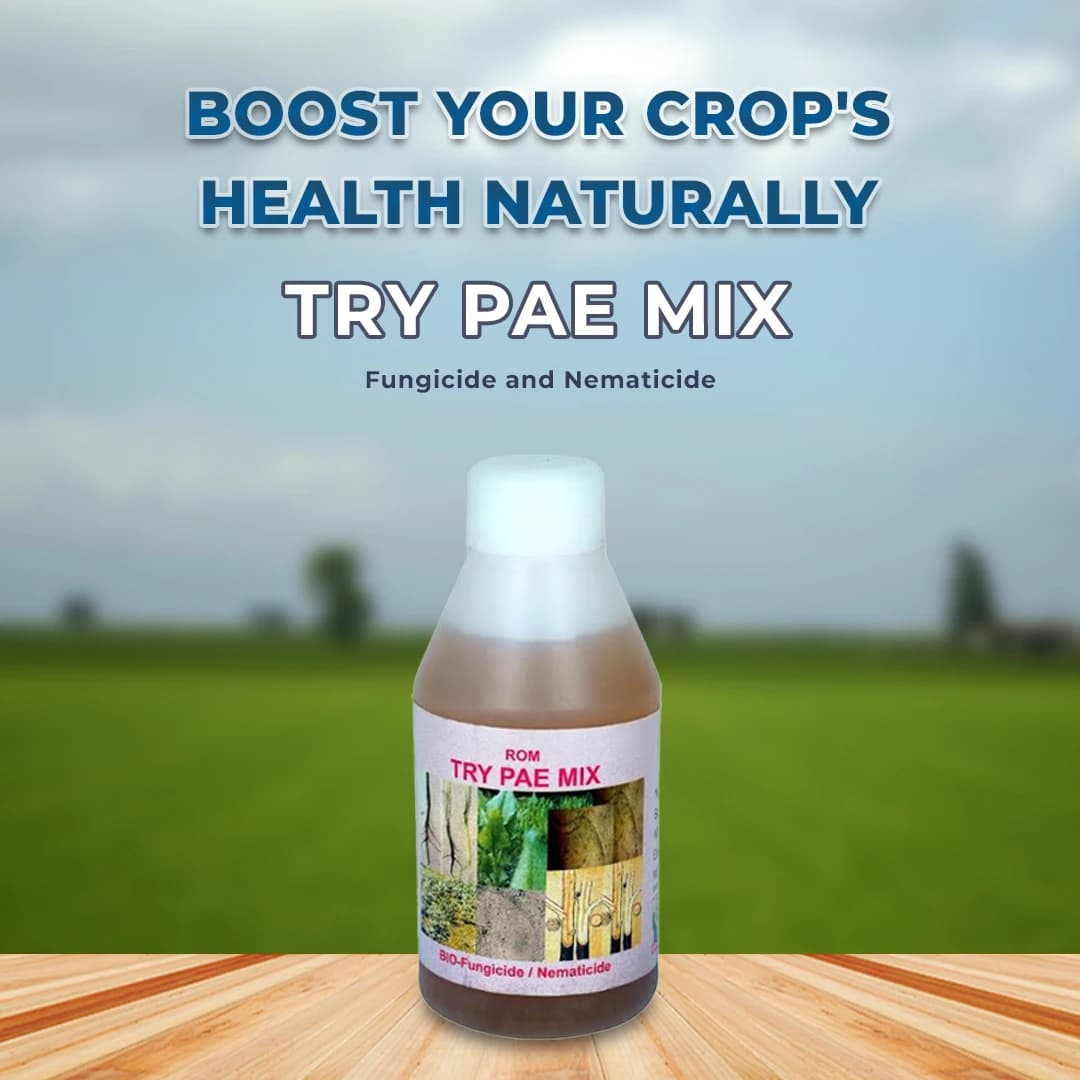 ROM Try Pae Mix (Bio Fungicide and Nematicide) Liquid Formulation Containing Trichoderma Viride and Paecilomyces Lilacinus In a 50:50 Proportion - Image 2