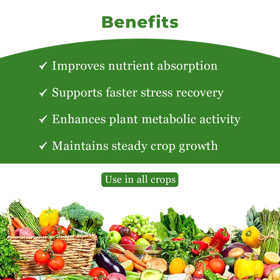 Amino Pearl- L40 - Fish Amino Acid Fertilizer - Image 4