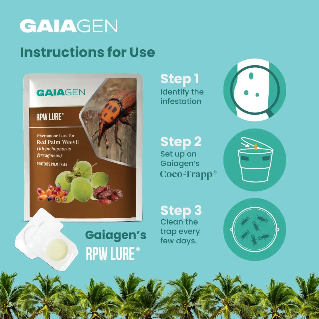 Gaiagen RPW Lure With Insect Bucket Traps, Pheromone Lure For Red Palm Weevil (Rhynchophorus Ferrugineus), IMO Certified. - Image 7