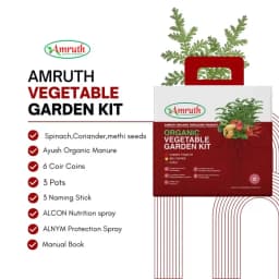 Amruth Organic Vegetable Kit, Garden Kit, DIY Kit, Grow Your Own Vegetables 4