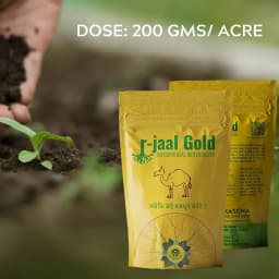 Biowall r-Jaal Gold VAM (Vesicular Arbuscular Mycorrhiza) Root Development and Nutrient 6