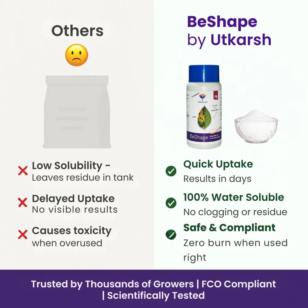 Utkarsh BeShape (Disodium Octaborate Tetrahydrate Boron 20%) (100% Water Soluble Foliar Spray), Helps With Pollination, and Fruit and Seed Development - Image 3