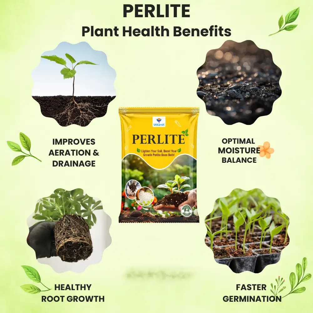 Utkarsh PERLITE Soil Conditioner, Effective For Plants, Gardening, Hydroponics And Horticulture - Image 3