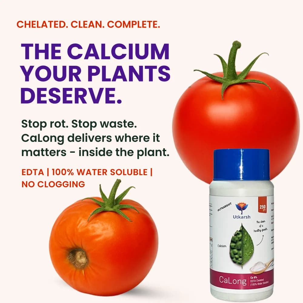 Utkarsh CaLong (Calcium-Ca 9%, EDTA Chelated Fertilizer) 100% Water Soluble Foliar Spray - Image 2