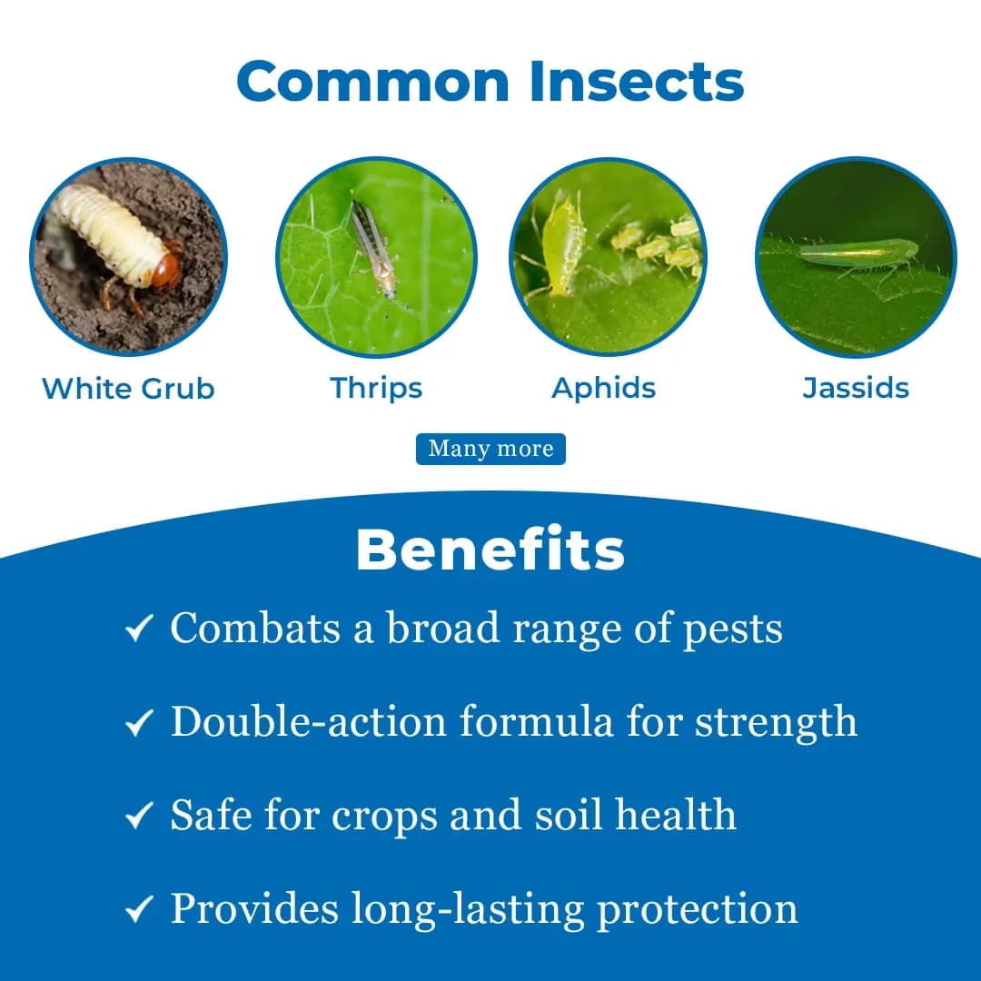EBS F+Imida Insecticide - Image 3