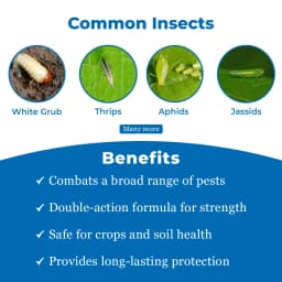 EBS F+Imida Insecticide 3