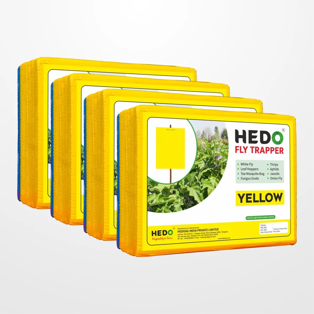 HEDO Eco Sticky Trap A5 Size, 20 Yellow and 5 Blue Mix Sticky Trap For The Insects, Best For Organic Vegetable And Fruits Farming Pest Control - Image 4