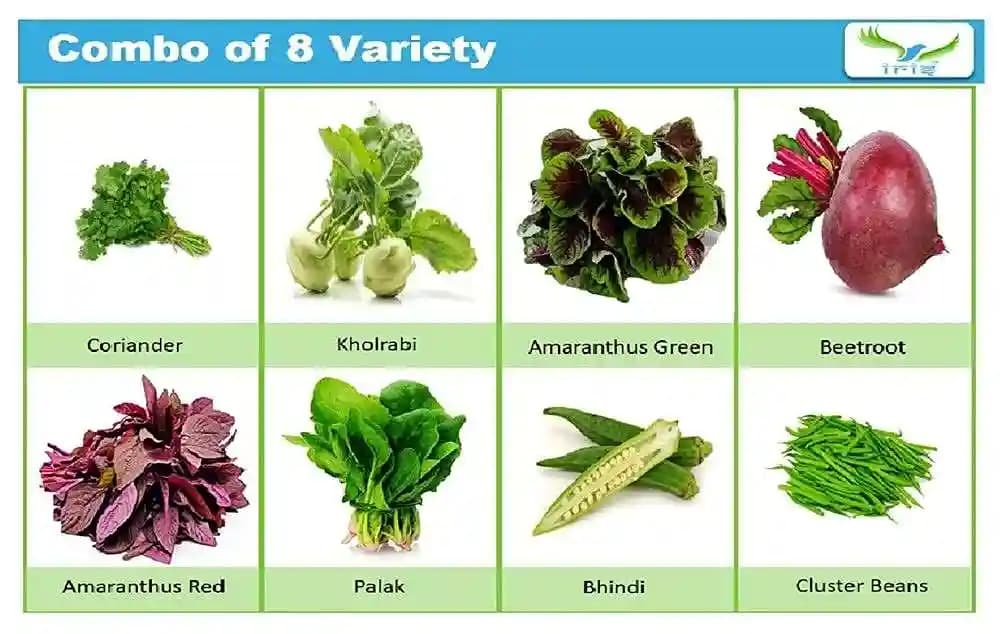 Iris Hybrid Pack of 8 Variety of Vegetables Seeds (680 Seeds) for Kitchen Garden