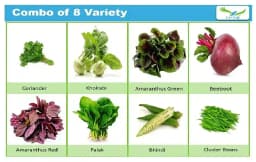 Iris Hybrid Pack of 8 Variety of Vegetables Seeds (680 Seeds) for Kitchen Garden 1