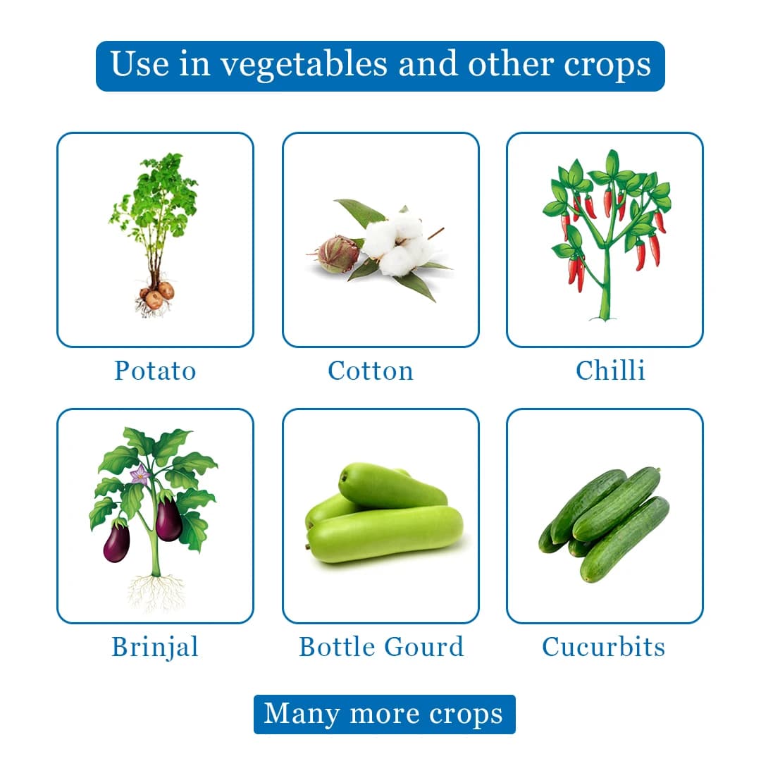 Thiolt-25 Insecticide - Thiamethoxam 25% WG - Image 4