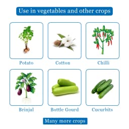 Thiolt-25 Insecticide - Thiamethoxam 25% WG 4