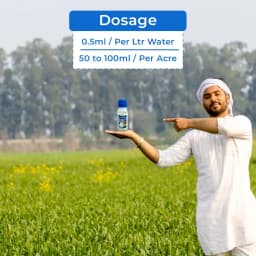 Bayer Confidor Imidacloprid 17.8% SL Broad Spectrum Insecticide, For Control of Aphid, Jassid, Thrips, White Fly, Termite, Hopper and Others 5