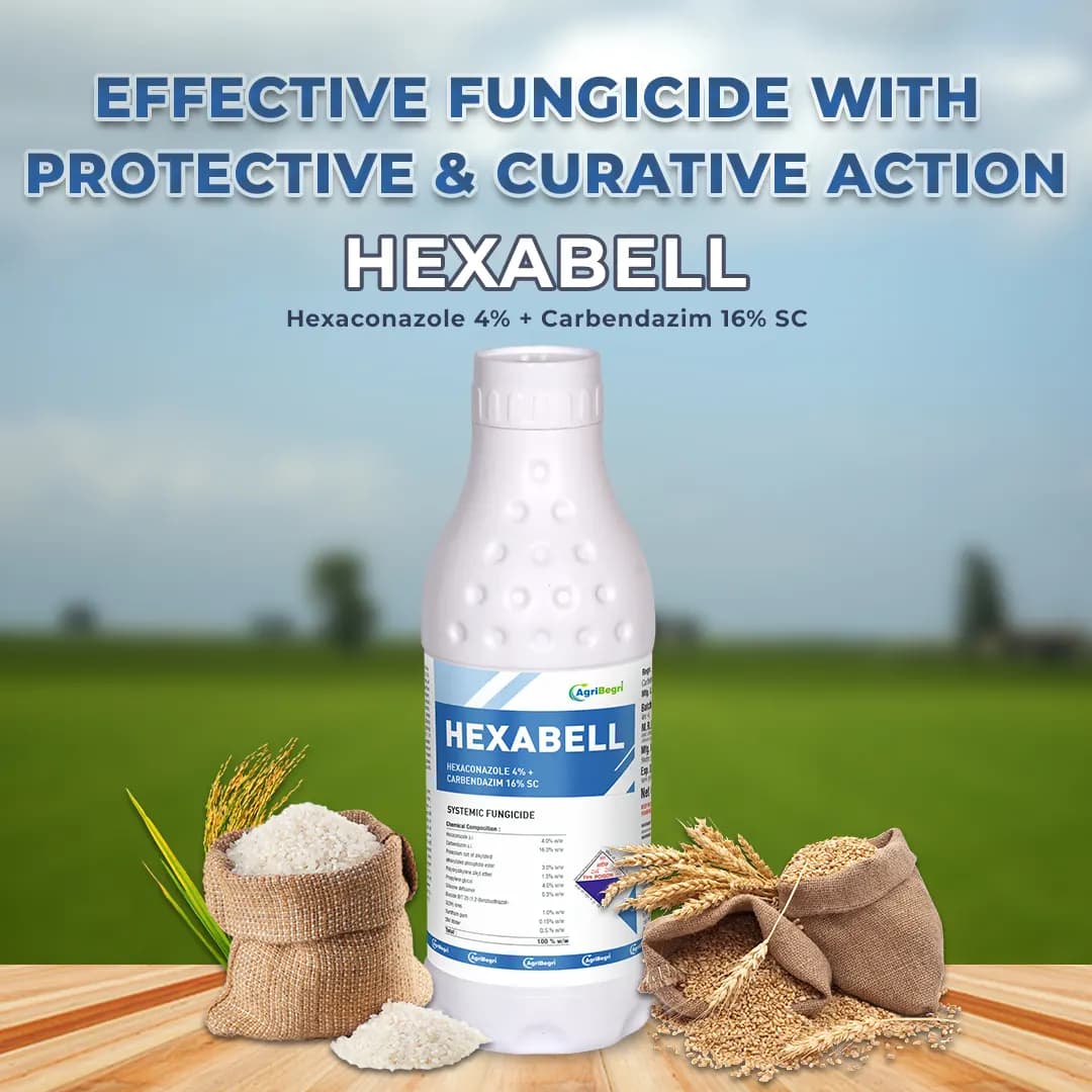 Hexabell - Hexaconazole 4% + Carbendazim 16% SC, Highly Effective Fungicide with Protective & Curative Action - Image 2