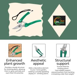 CropKraft Pruner Secauter, Ideal For Deadheading, Trimming, And Shaping A Variety Of Plants 6
