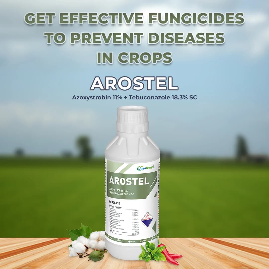 Arostel Fungicide - Azoxystrobin 11% + Tebuconazole 18.3% SC - Image 2