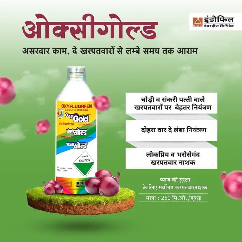 Indofil Oxygold Oxyfluorfen 23.5% EC Herbicide, Pre and Early Post Emergence - Image 4