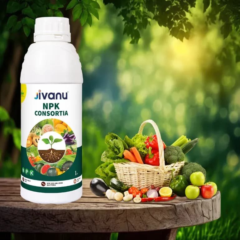 Green Revolution Jivanu NPK Consortia Bacteria Liquid Bio Fertilizer, Improves Soil Fertility And Plant Health. - Image 7
