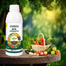 Green Revolution Jivanu NPK Consortia Bacteria Liquid Bio Fertilizer, Improves Soil Fertility And Plant Health. 4