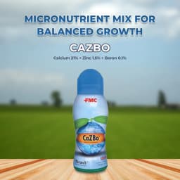 FMC Cazbo (Calcium 21% + Zinc 1.5% + Boron 0.1%) Micronutrient, Helps Plants Build Cell Wall Structure and Strength, Use for All Crops. 2