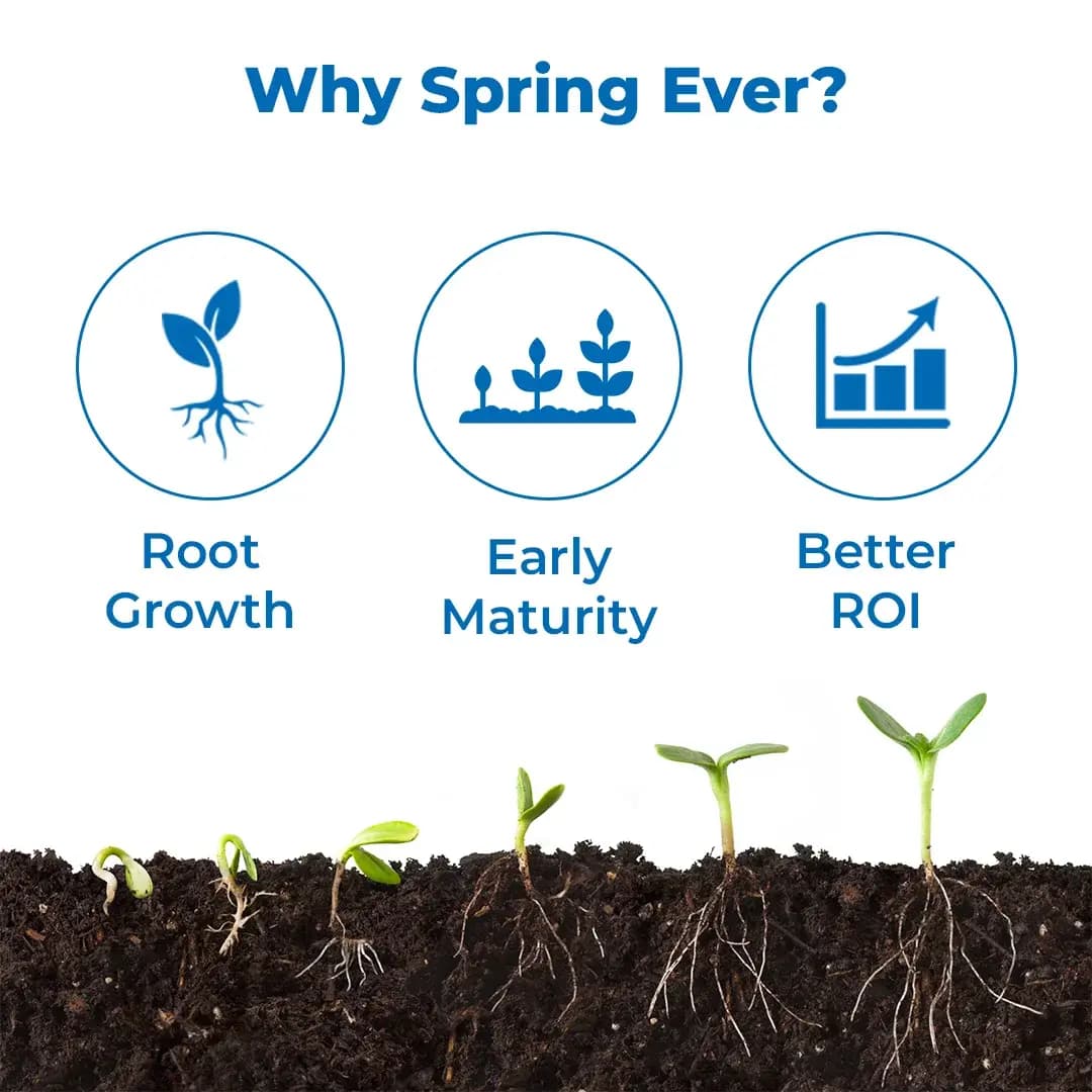 Spring Ever - Plant Growth Promoter - Image 3