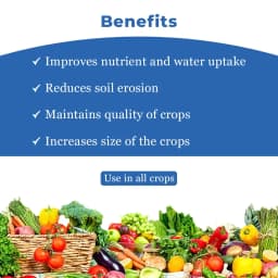 Flowie - Nitrobenzene 35% Fertilizer 4