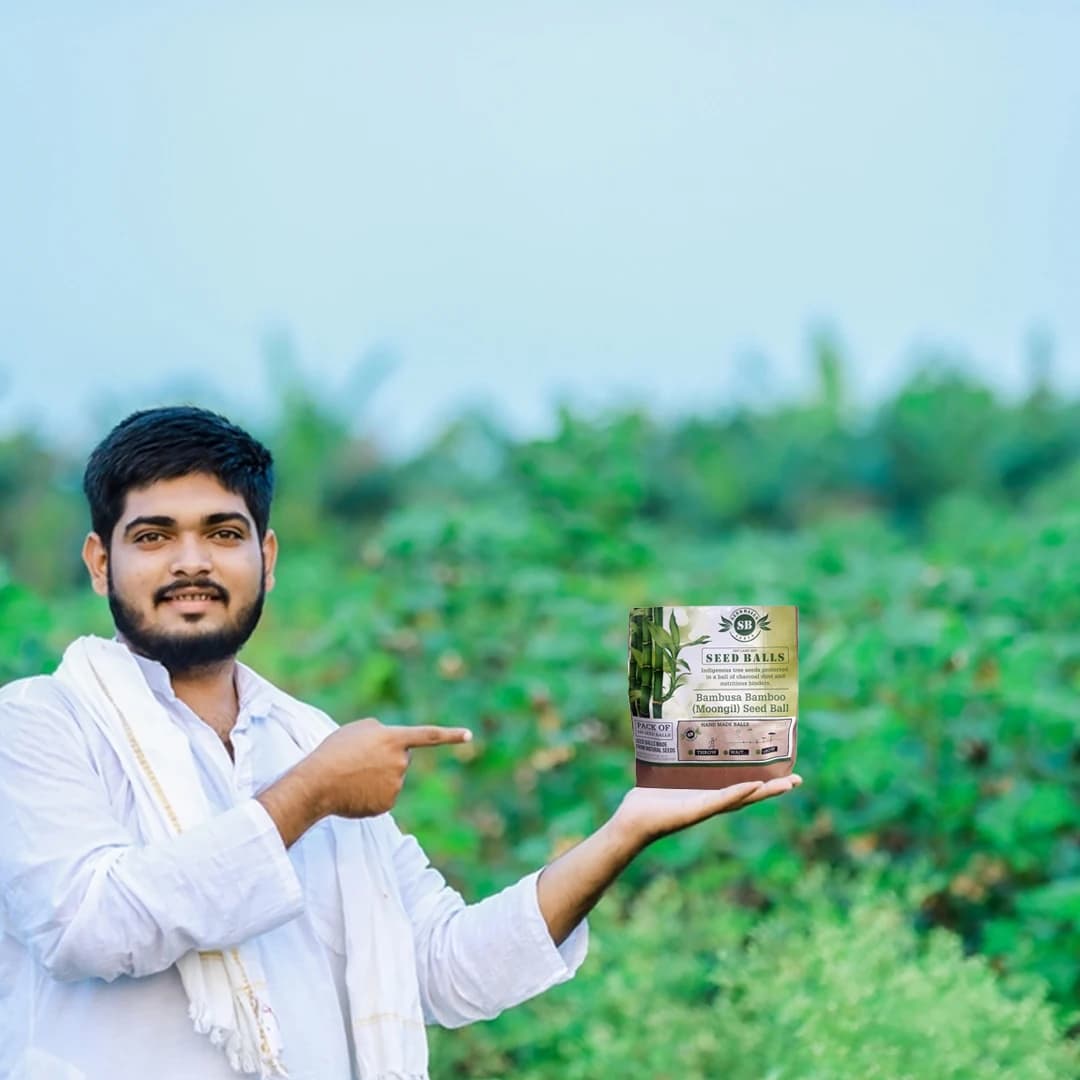 Seed Balls Just Throw & Grow (Bamboo or Mongil Seed Balls) Tree Seed Balls. Just throw on land or place in pot. - Image 5