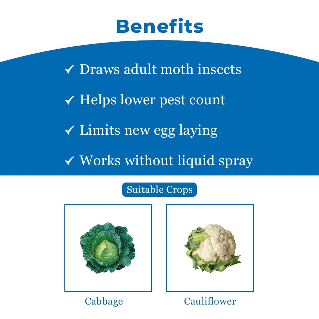 Delta Pheromone Trap with DBM Pheromone Lure for controlling Diamondback Moth (Plutella xylostella) - Image 4