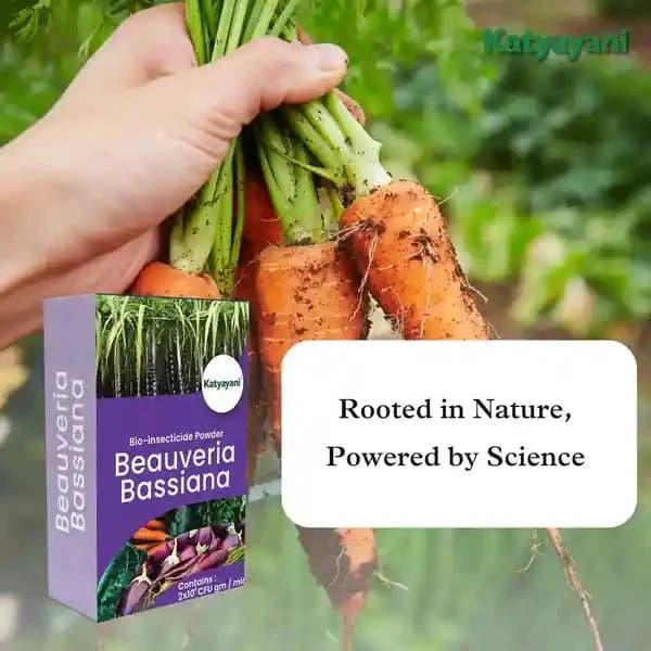 Katyayani Beauveria Bassiana Bio Insecticide Powder, Advanced Natural Insect Control Solution & Pest Management - Image 4