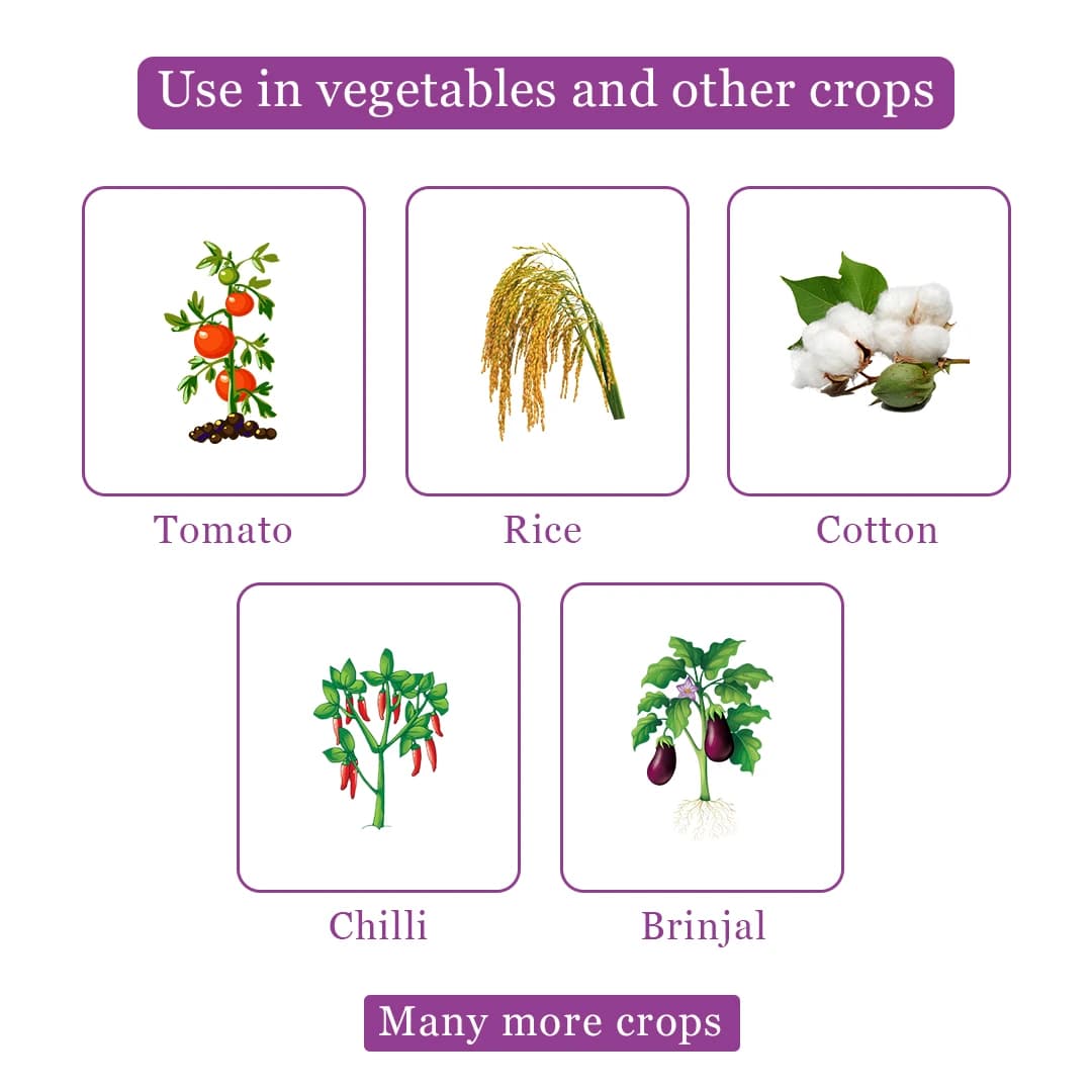 Titan Agritech Pepora Insecticide - Image 4