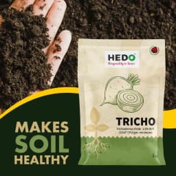 HEDO Tricho Trichoderma Viride 1.5% WP Bio Pesticide, Control A Wide Range of Soil And Seed Borne Fungal Diseases 3