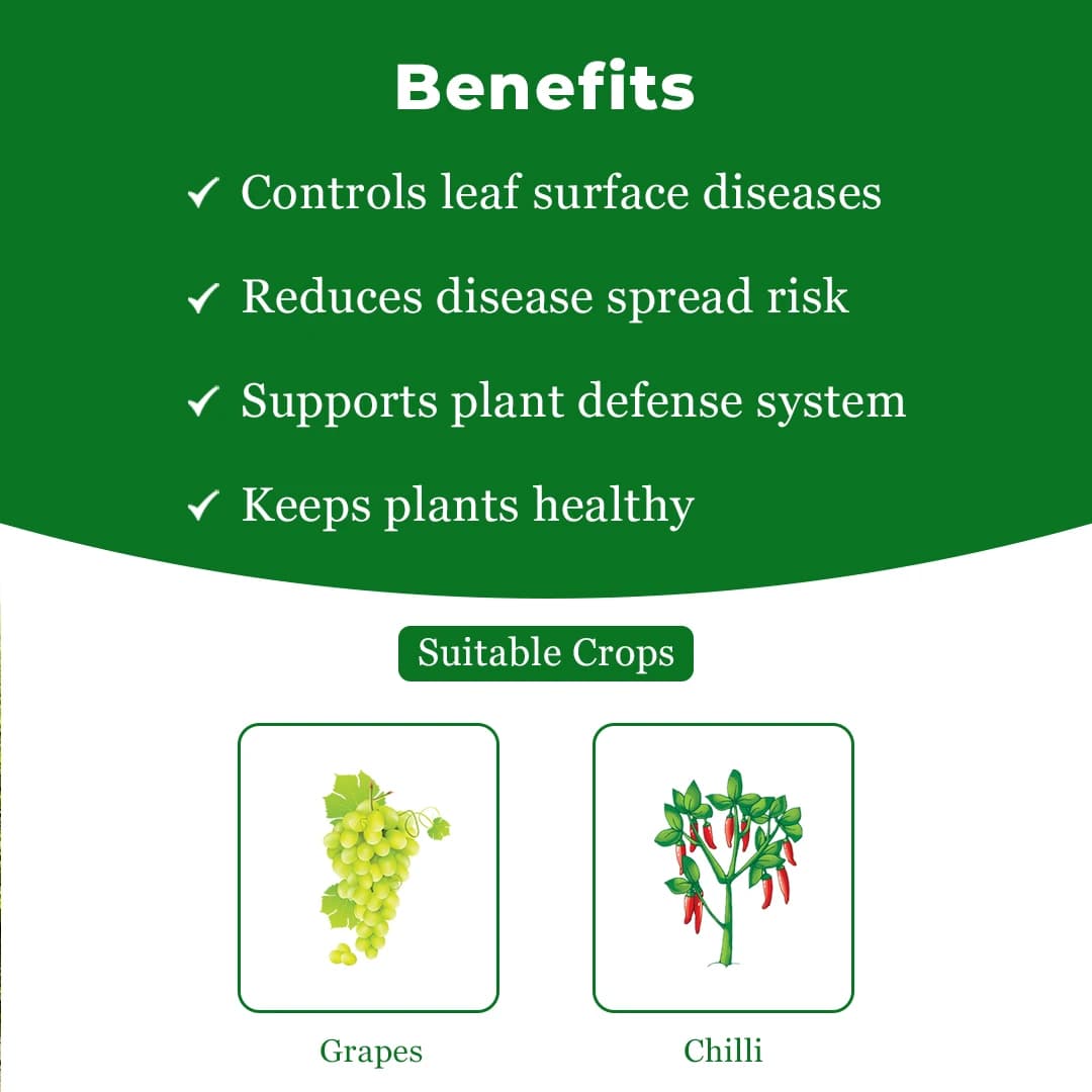 EBS Bacillus Subtilis Bio Fungicide Powder, Control Downy Mildew, Powdery Mildew And Bacterial Diseases For Plants And Home Garden - Image 4