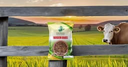 Sri Sai Forestry Barseem Grass Seeds For Goat, Barseem Seed For Cattle, Multi Cut Grass Seeds 8