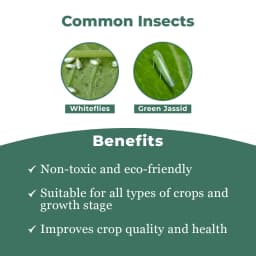 Miraj Botanical Extract - Special Solution for Whitefly and Green Jassid Control, Non-Toxic and Eco-Friendly 3