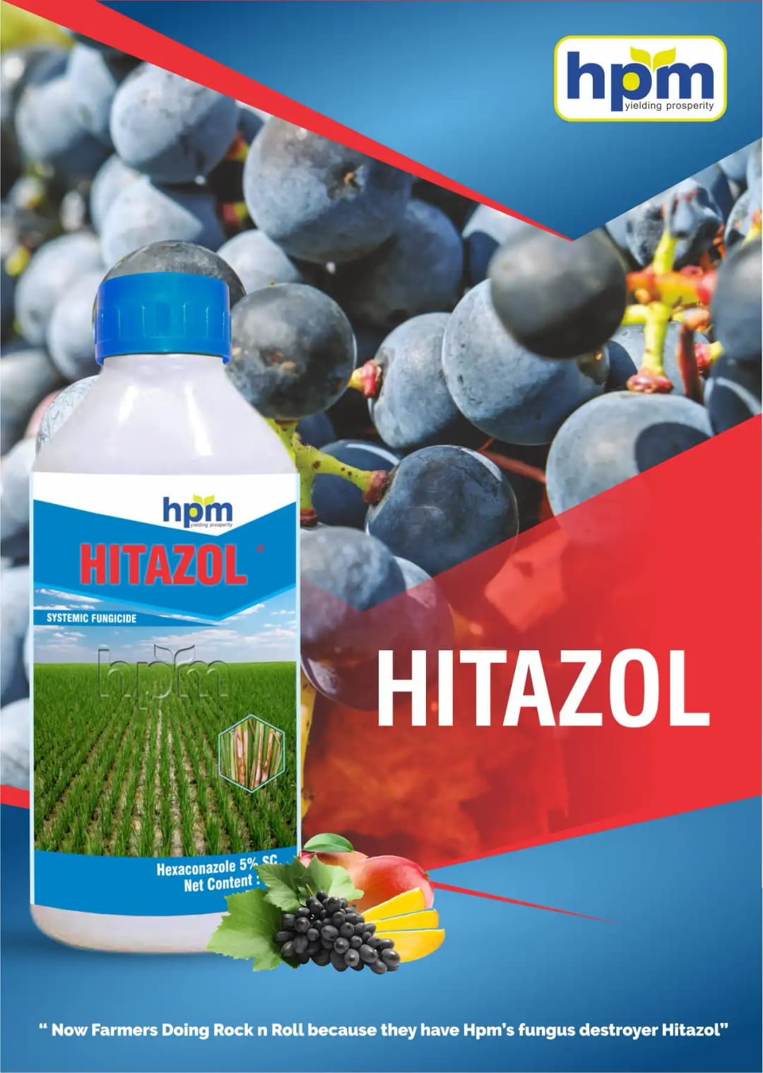 Hpm Hitazol Hexaconazole 5% SC Fungicide, Effective Control For Powdery Mildew, Sheath Blight, And More - Image 2