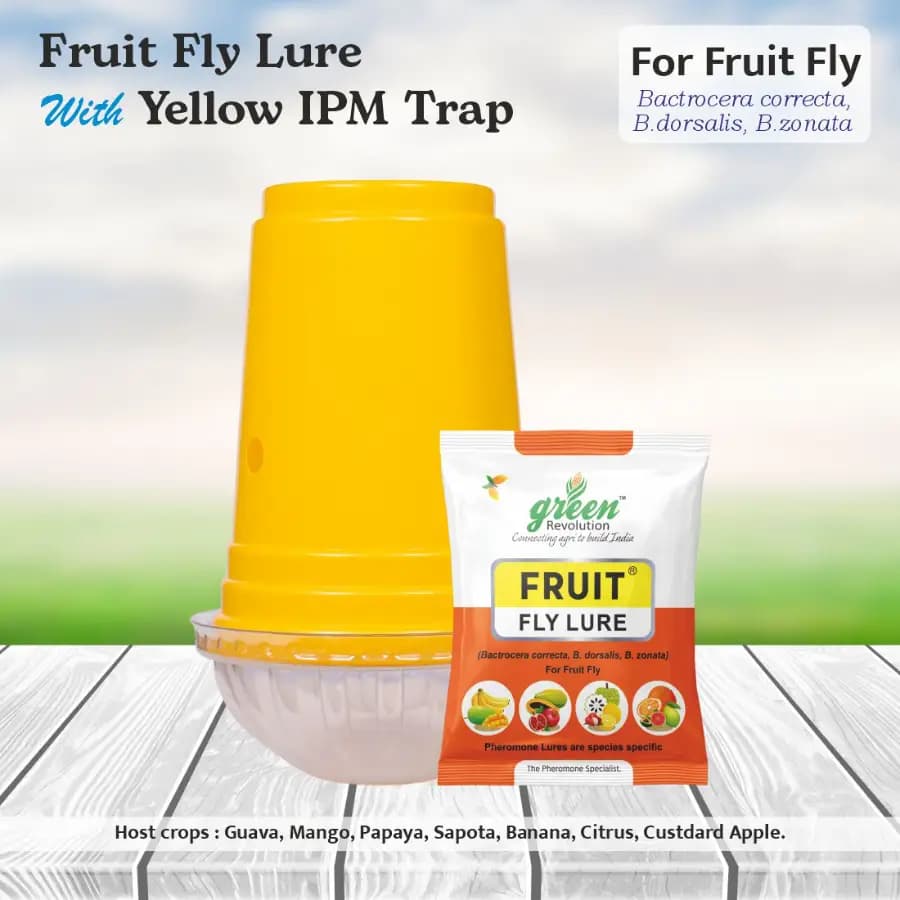 Green Revolution Yellow IPM Trap With Fruit Fly Lure, Efficient For Fruit Fly Control In All Fruit Crops - Image 2