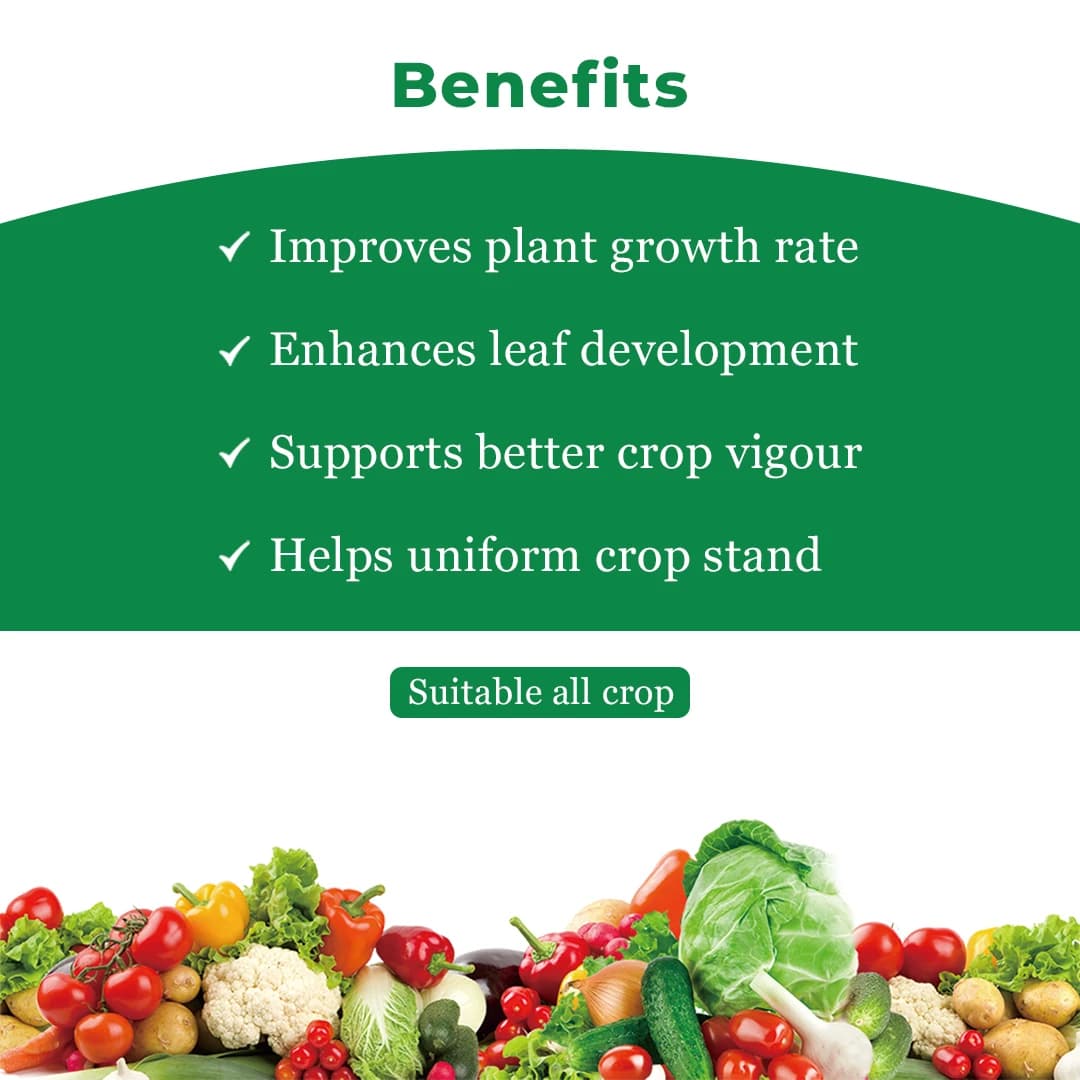 Anand Brilliant Flowering Stimulant, Increases The Yield By Improving The Flowering And Fruit Setting - Image 4