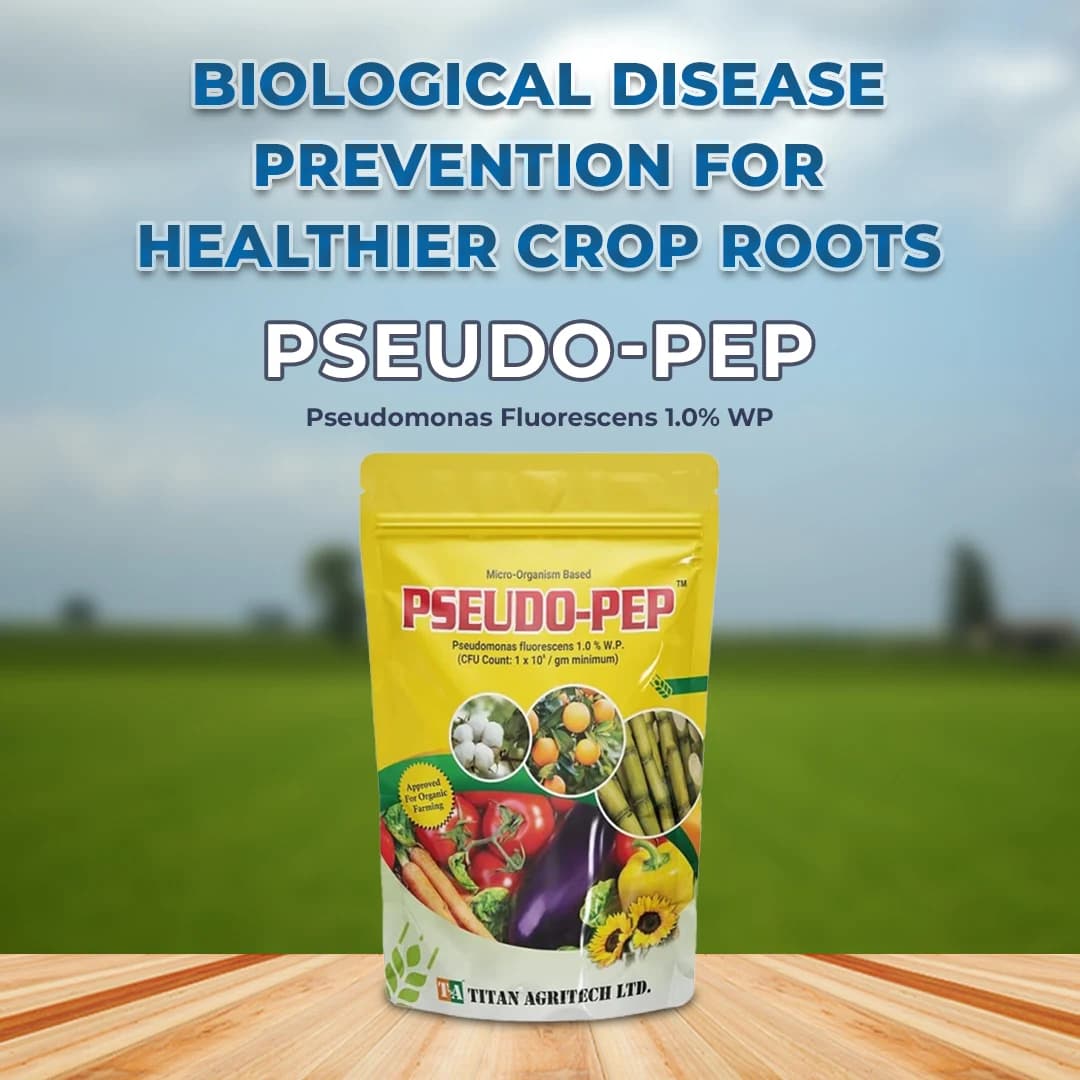 Pseudo-Pep Bio Fungicide - Pseudomonas Fluorescens 1.0% WP - Image 2