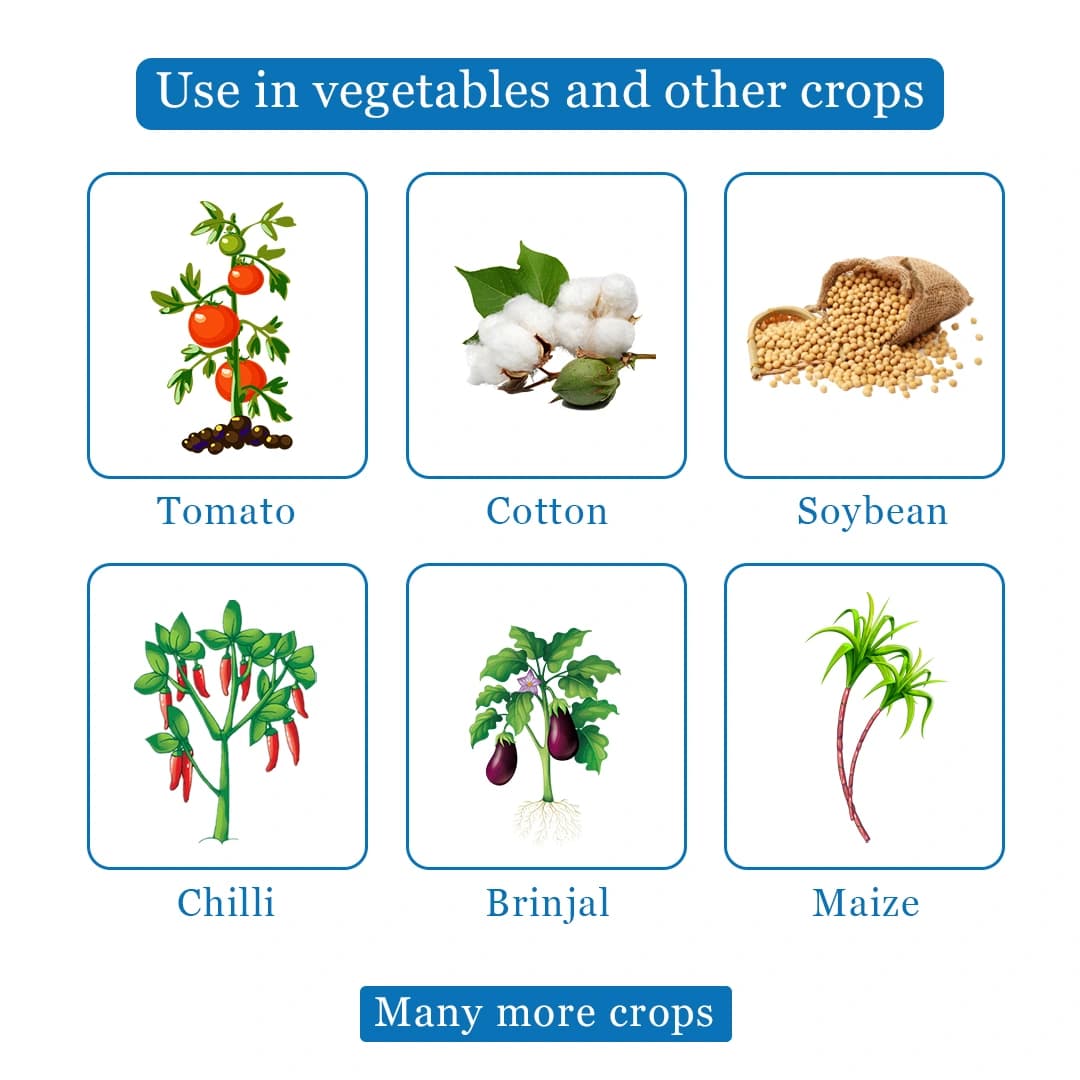 Neem Booster - Neem Oil 1500 PPM (Azadirachtin 0.15% EC) - Image 4