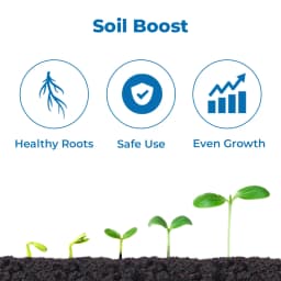EBS NPK Consortia Bio Fertilizer, 5x10^8 Contains Bacteria that Fix Nitrogen and Phosphorus From the Atmosphere, Use for Plants & Garden 3