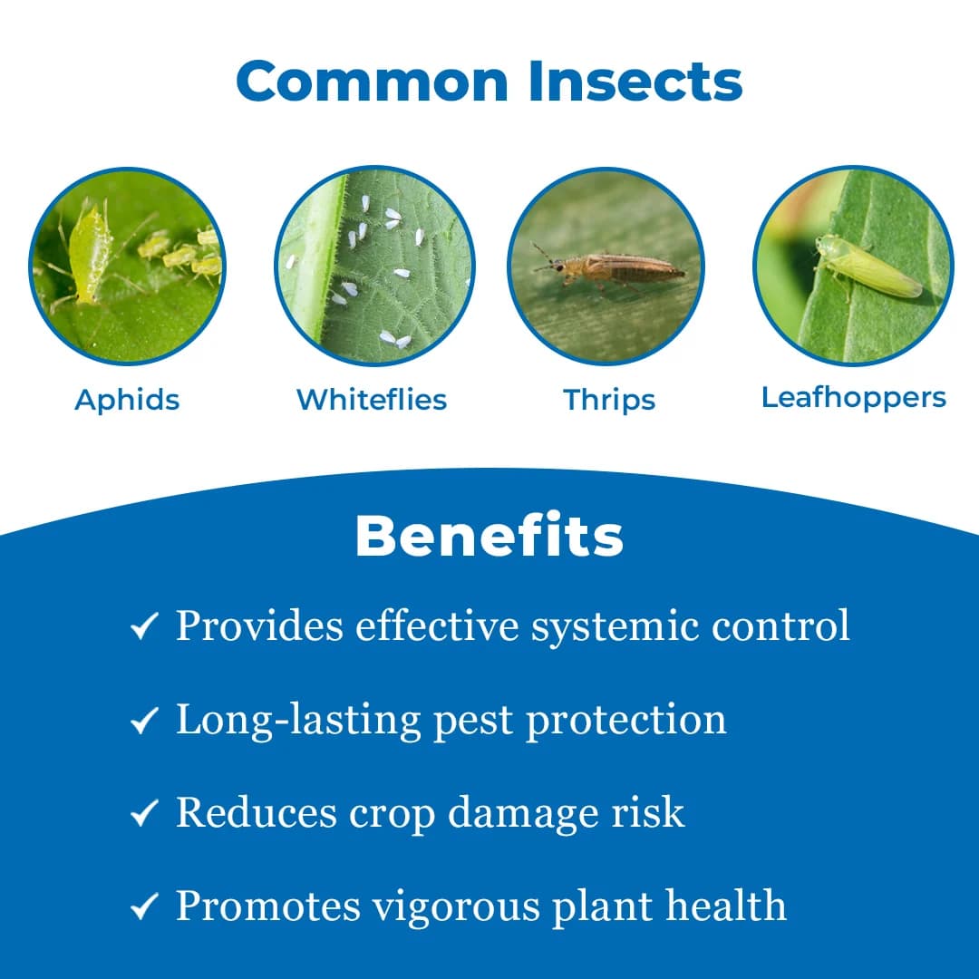Shivalik Sactara - Thiamethoxam 25% WG Insecticide, Best Use Against Brown Plant Hopper, Green Leaf hopper etc - Image 3
